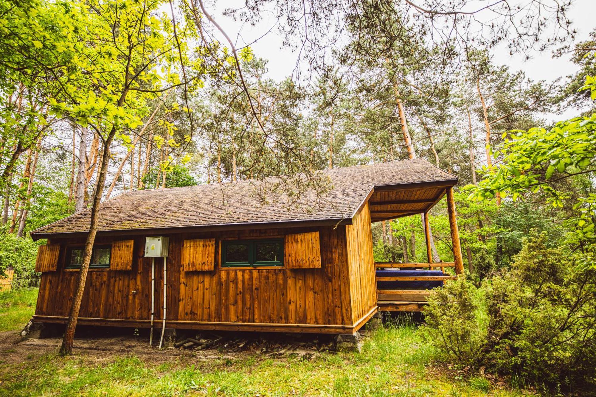 Cozy Nature Retreat With Patio Fireplace Garden Maciejowice Buitenkant foto