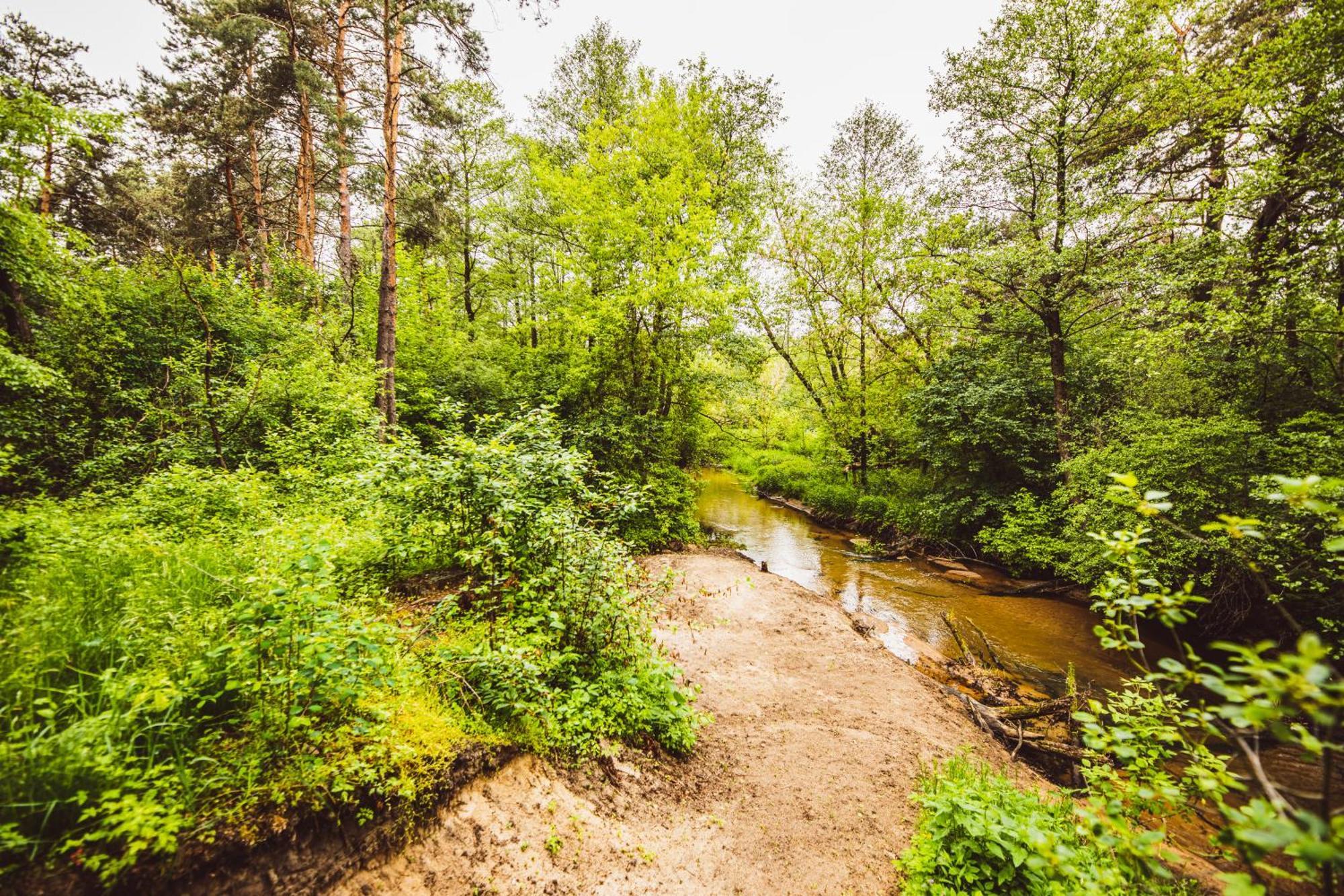 Cozy Nature Retreat With Patio Fireplace Garden Maciejowice Buitenkant foto