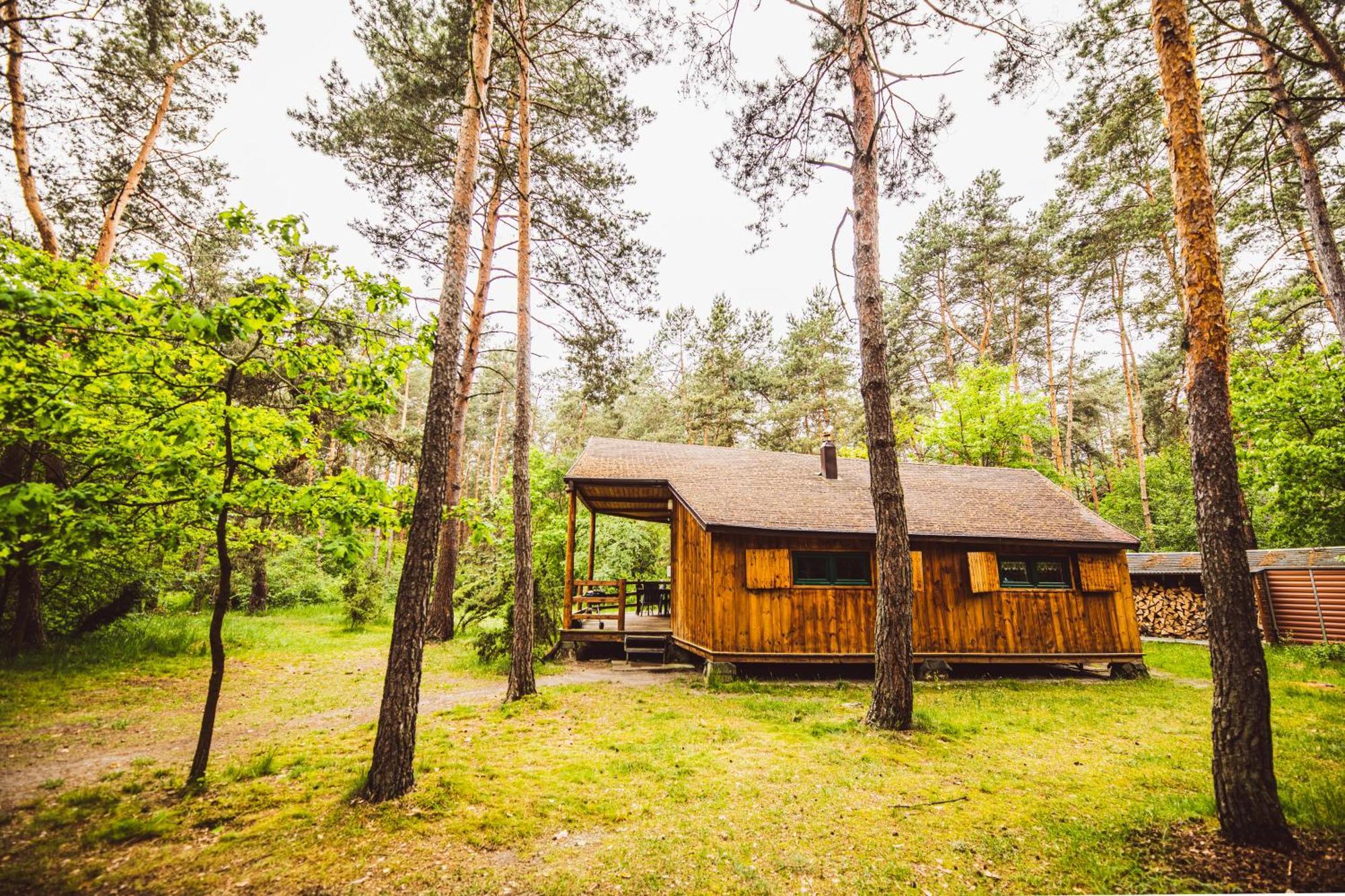 Cozy Nature Retreat With Patio Fireplace Garden Maciejowice Buitenkant foto