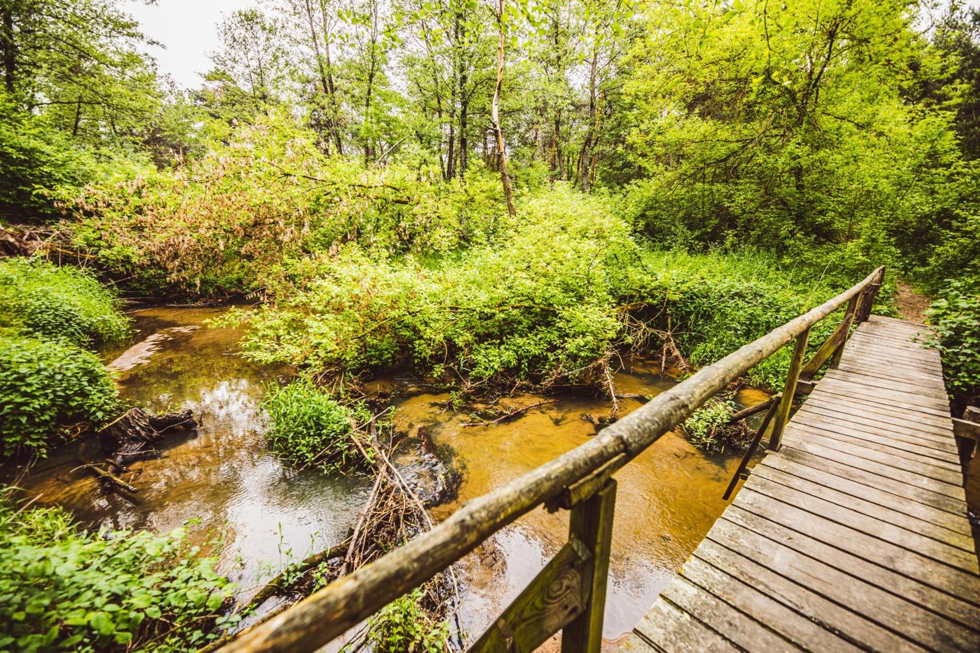Cozy Nature Retreat With Patio Fireplace Garden Maciejowice Buitenkant foto