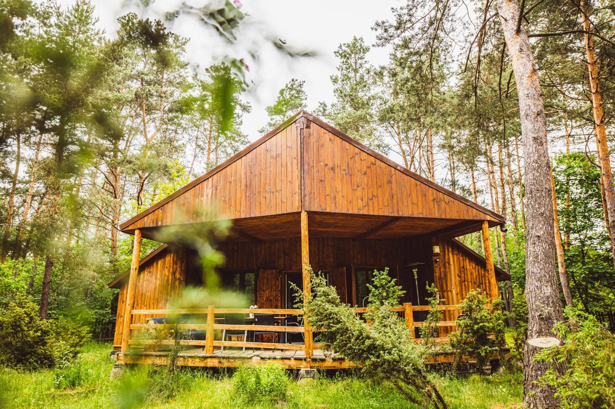 Cozy Nature Retreat With Patio Fireplace Garden Maciejowice Buitenkant foto